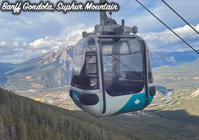 placeholder image-sq