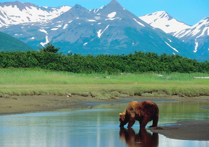 alaska adventure