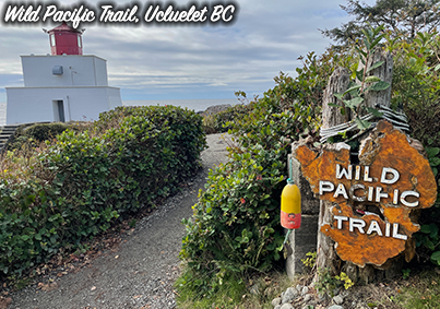 placeholder image-sq