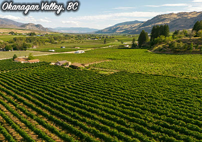 placeholder image-sq