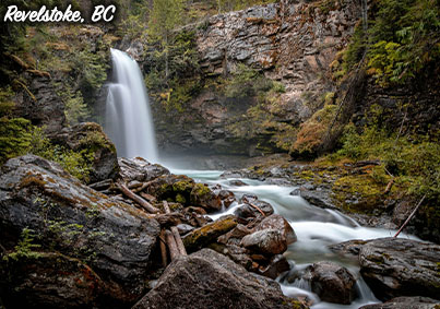 placeholder image-sq