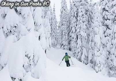 placeholder image-sq