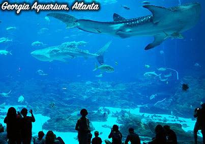 fifa world cup atlanta