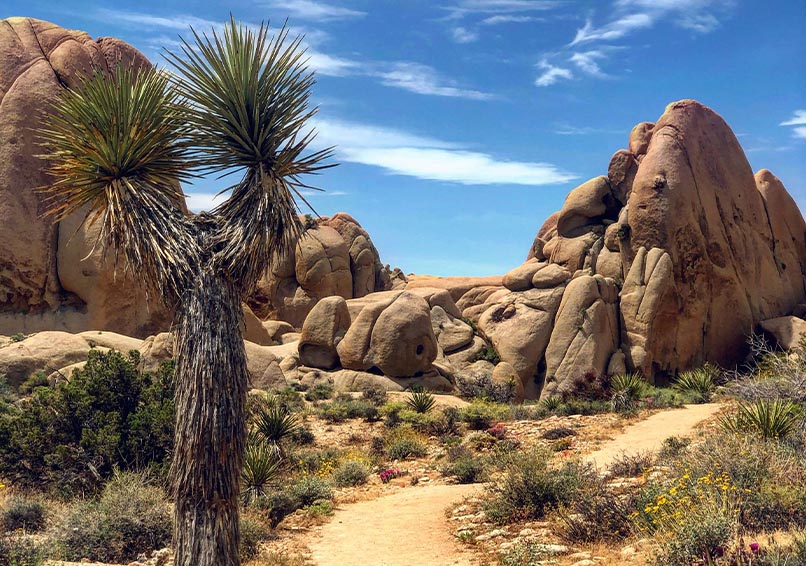 ultimate california self drive