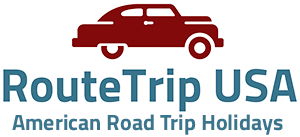web logo
